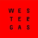 Profile Picture of dr. Heleen Lameijer - SEH arts (@westergas) on Instagram