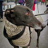 Profile Picture of Jeremiah Jezzington (@Jeremiah Jezzington) on Flickr