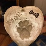 Profile Picture of Lisa Clark Van Buskirk (@clarkvanbuskirk) on Instagram