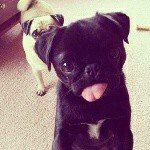 Profile Picture of rosa condori (barbi) (@barbi_rosa_condori) on Instagram