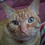 David Pablo - Instagram Profile Picture of David Pablo (@dabiz206) on Instagram