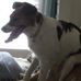 Profile Picture of Talulah Littlefield Kussart (@talulah.littlefieldkussart) on Facebook