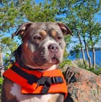 Profile Picture of Pavel Rudenko (@Pavel-Rudenko) on Facebook