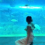 Profile Picture of Minhly Nguyen (@minhly.nguyen.359126) on Facebook