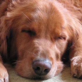 Profile Picture of Kelly Rowley (@kellyrowley0216) on Pinterest