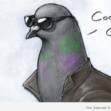 Profile Picture of Stephen McConaghy (@ScoopMcc) on Twitter