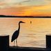 Profile Picture of Cathy Kopp (@cathy.kopp.52) on Facebook
