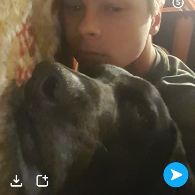 Profile Picture of Josh Basinger (@BasingerJosh) on Twitter