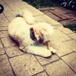 Profile Picture of Patrick Conroy (@patrick_yeetermen) on Instagram