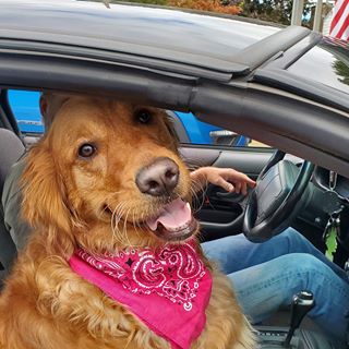 Dave Coverstone - Facebook Profile Picture of Dave Coverstone (@dave.coverstone.3) on Facebook