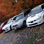 Profile Picture of Bailey Palmer (@bailey.rhdforester) on Instagram