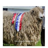 Michael Coney - Quora Profile Picture of Michael Coney (@michael-coney-1) on Quora