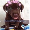 Profile Picture of Eva Cruz (@@mix_fandom.avani.fan) on Tiktok