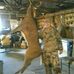Profile Picture of Keith Wineland (@Keith-Wineland) on Facebook
