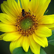 Profile Picture of Erik Roman (@erikroman4430) on Youtube