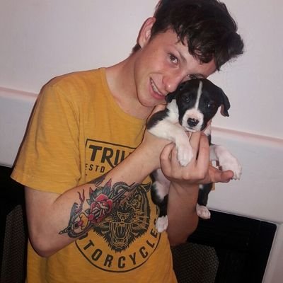 Profile Picture of Ian Strauss (@iannstrauss) on Twitter