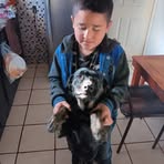 Profile Picture of Irving Aaron Pompa (@Irving-Aaron-Pompa) on Facebook