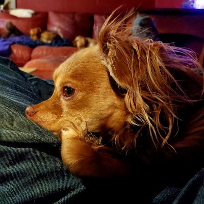 Profile Picture of Mark Nilson (@MarkNilson7) on Twitter