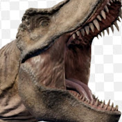 Profile Picture of Adam Keough (@adamkeough5748) on Youtube