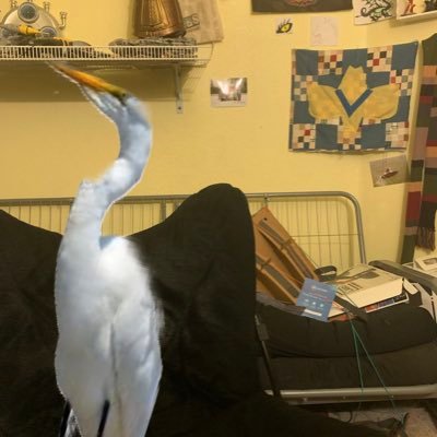 Profile Picture of Ian The Crane (@ian81266044) on Twitter