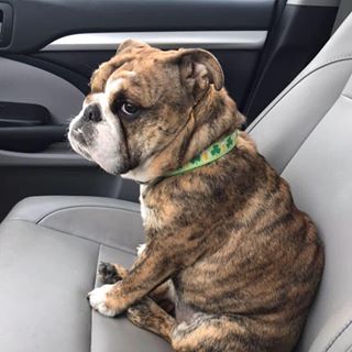 Profile Picture of Kenna Osburn Eilers (@kenna.o.eilers) on Facebook