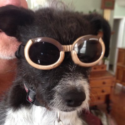 Profile Picture of David Kretschmer (@dkretschmer41) on Twitter