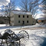 Profile Picture of June Wolfe (@wolfe_spring_farm) on Instagram
