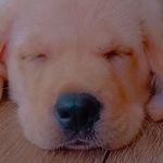 Profile Picture of 'TERRY'TORY!!!! (@terry_tory20) on Instagram