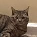 Profile Picture of Jacob McGinnis (@jacobm4460) on Pinterest