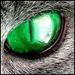 Profile Picture of Janet Canning (@batgrrly) on Pinterest