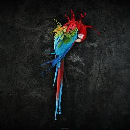 Profile Picture of Robert D. Tapley (@jennette_t) on Twitter