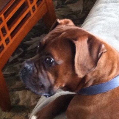 Profile Picture of Philip Hopper (@philhop17) on Twitter