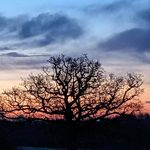 Profile Picture of Matt Holman (@mattholman76) on Instagram