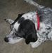 Profile Picture of Mark Struble (@mark.struble.332) on Facebook