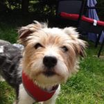 Profile Picture of Ray Webb (@ray_webb18) on Instagram