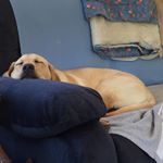 Jeff Bonardelli - Instagram Profile Picture of Jeff Bonardelli (@jeffbonardelli) on Instagram