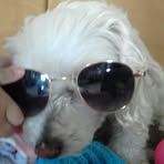 Profile Picture of Creck Quishpe (@Creck-Quishpe) on Facebook