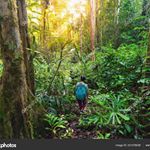 Profile Picture of Roger Gouesser (@rogergouesser) on Instagram