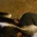 Profile Picture of Bob Farris (@bob.farris.1481) on Facebook