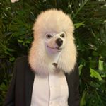 Profile Picture of Daniel Castrillon (@dancasbot) on Instagram