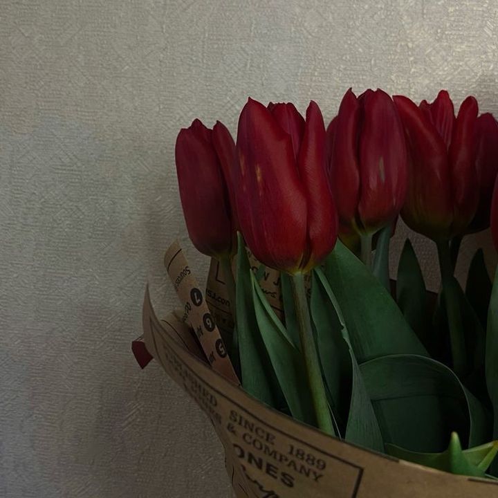 Profile Picture of Mafya Karısı (@mafya.kars3) on Tiktok