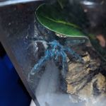 Profile Picture of Zack Broderick (@shinytoywheels) on Instagram