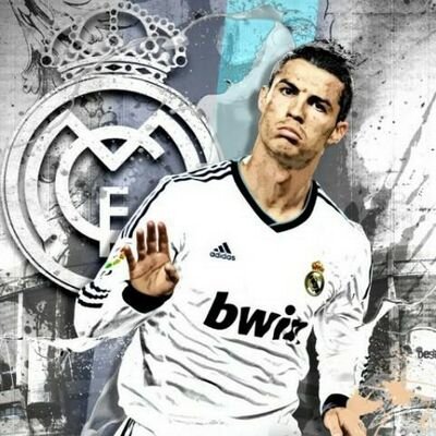 Profile Picture of Samuel Lessard (@d48aa1680bca421) on Twitter