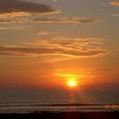 Profile Picture of Rocio Ramos (@rgr0025) on Pinterest