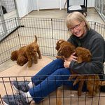 Profile Picture of Linda Hawkes (@mommahawkes) on Instagram