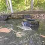 Profile Picture of Jesse Johnson (@jesse_johnson_hll_inc) on Instagram