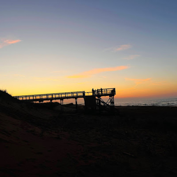 Profile Picture of Mika Deseve (@mideseve) on Poshmark