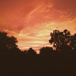 Profile Picture of James Koval (@jkoval29) on Instagram