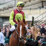 Profile Picture of Ken King Thoroughbreds (@kenkingthoroughbreds) on Instagram