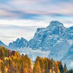 Alda - Instagram Profile Picture of Alda (@daniel.salzmann.3791) on Instagram